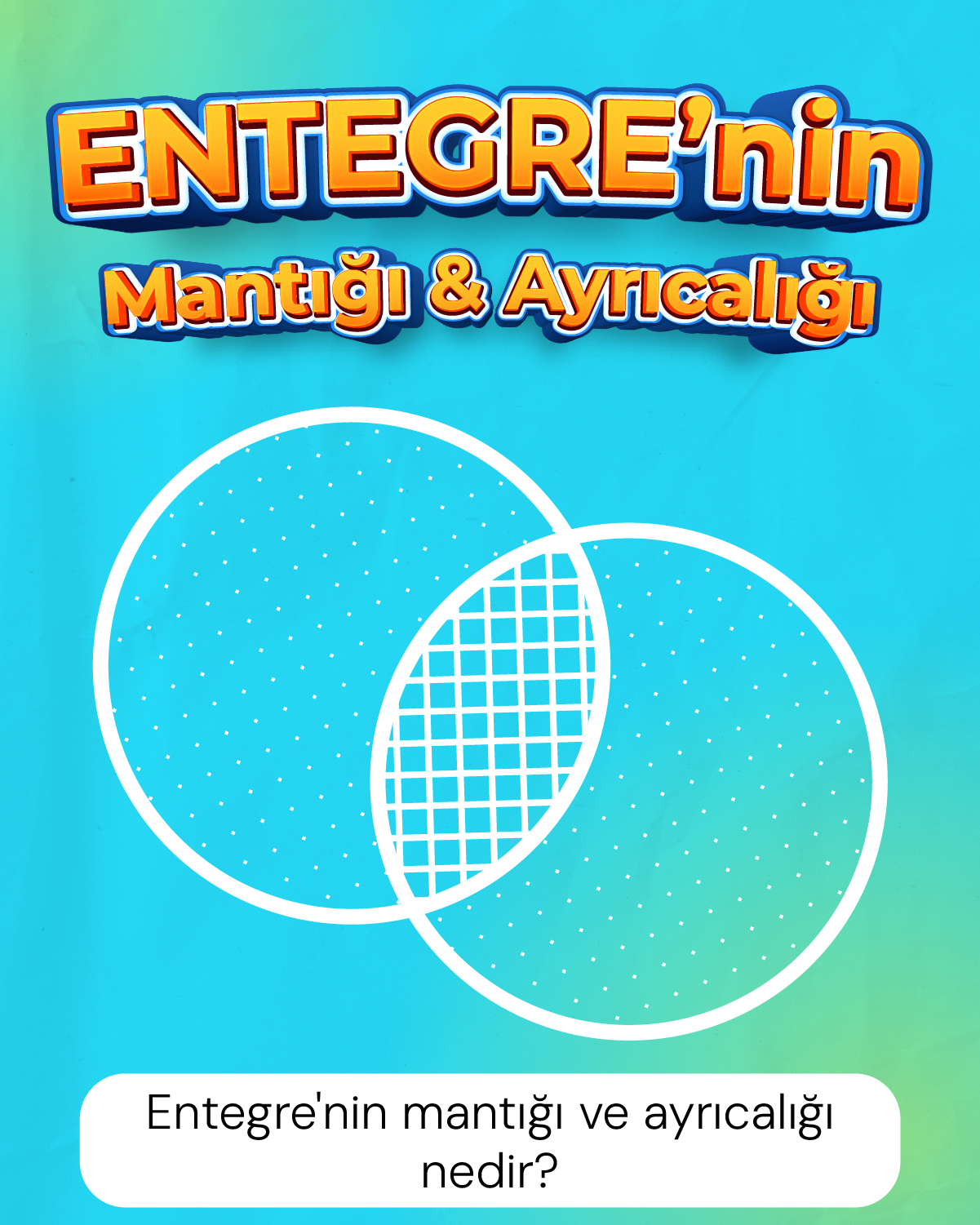 Entegre'nin Mantığı ve ayrıcalığı nedir?