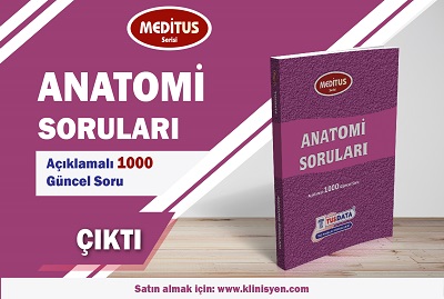 Meditus Serisi Anatomi Souları !