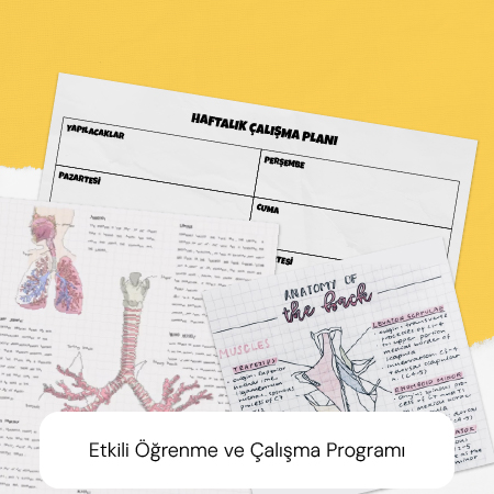 Etkili Öğrenme ve Çalışma Programı