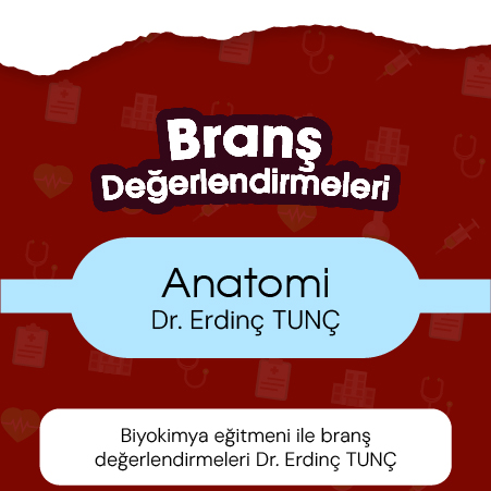 Anatomi eğitmeni ile branş değerlendirmeleri Dr. Erdinç TUNÇ