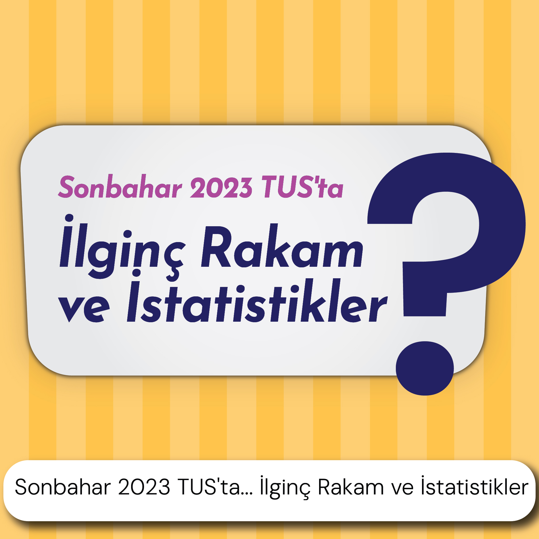 İlginç Rakam ve İstatistikler