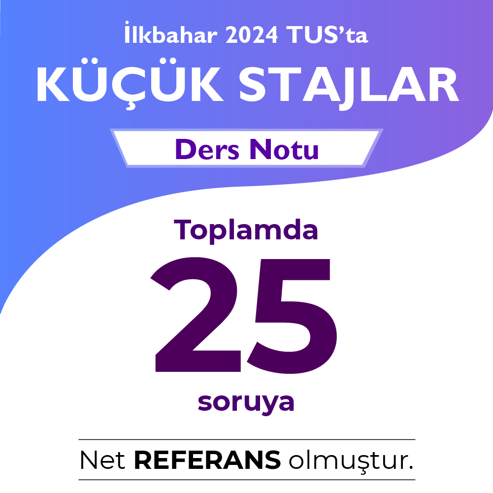 Küçük Stajlar