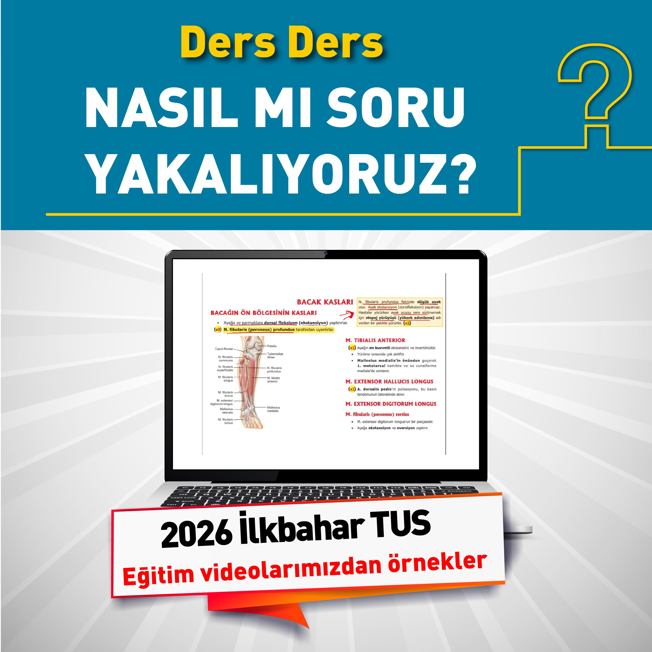 VİDEO REFERANSLAR